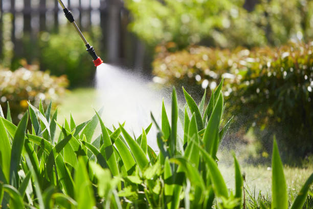 24/7 Emergency Cockroach Control experts in Mayflower, AR