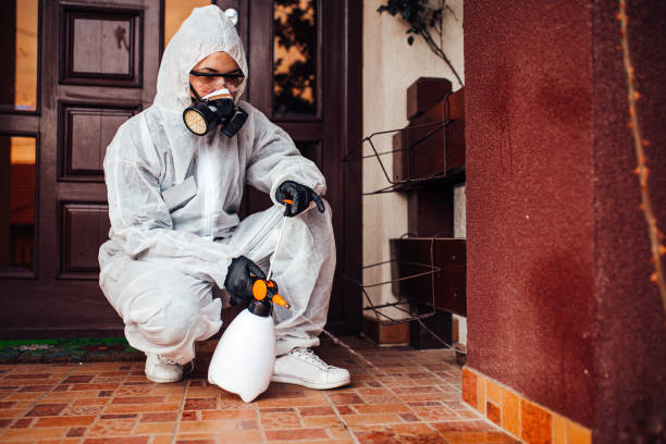 Reliable Cockroach Control contractor in Mayflower, AR by Nex Pest Control